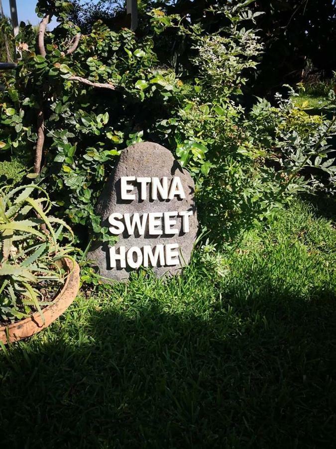 Etna Sweet Home Santa Venerina Exteriör bild